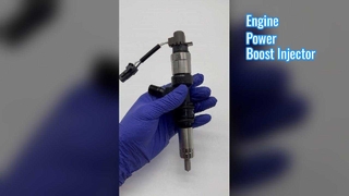 حاقن الوقود