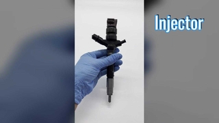 حاقن الوقود